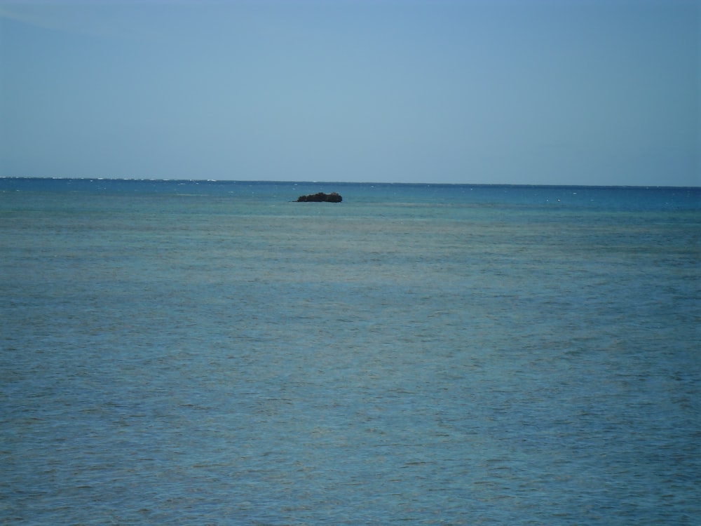 black boat on sea during daytime