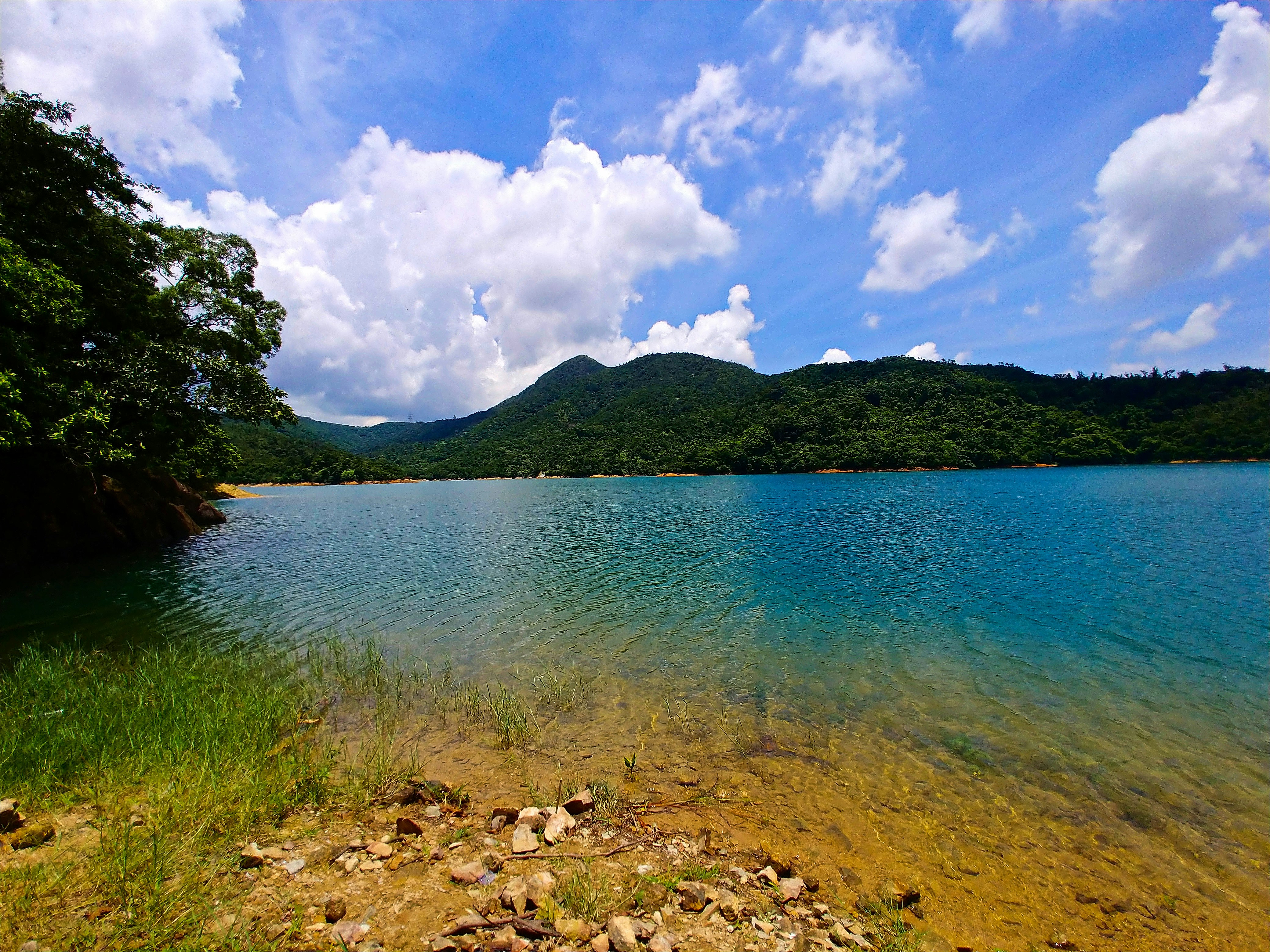 Photo by meditatingdragon