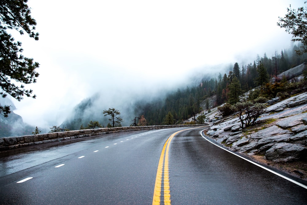 gray concrete road near green trees under white sky during daytime