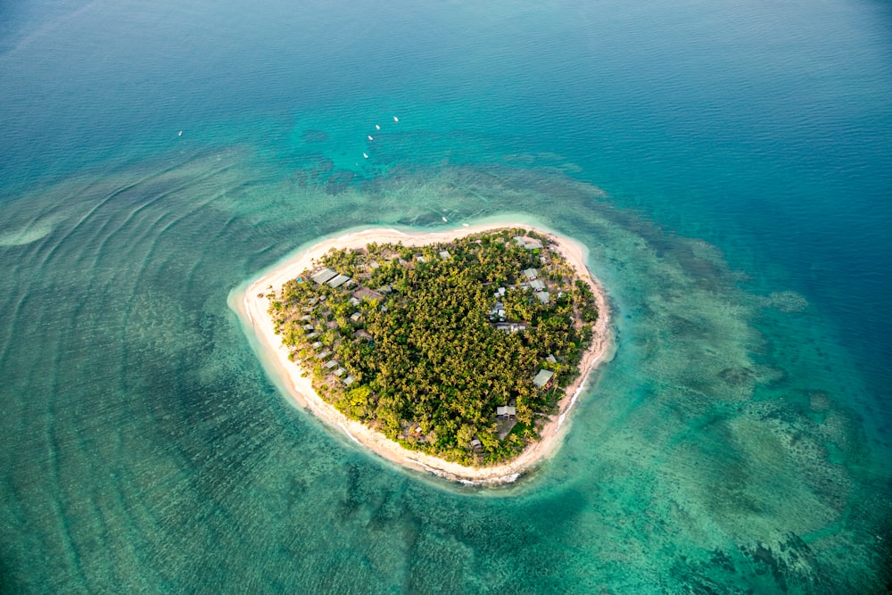 aerial view of island during daytime