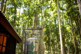 A lush forest with tall, straight trees stretching upwards. A large cylindrical metal tank is enclosed within a wire mesh structure, and two monkeys sit on top of it. Part of a wooden structure with a sloped roof is visible on the left.