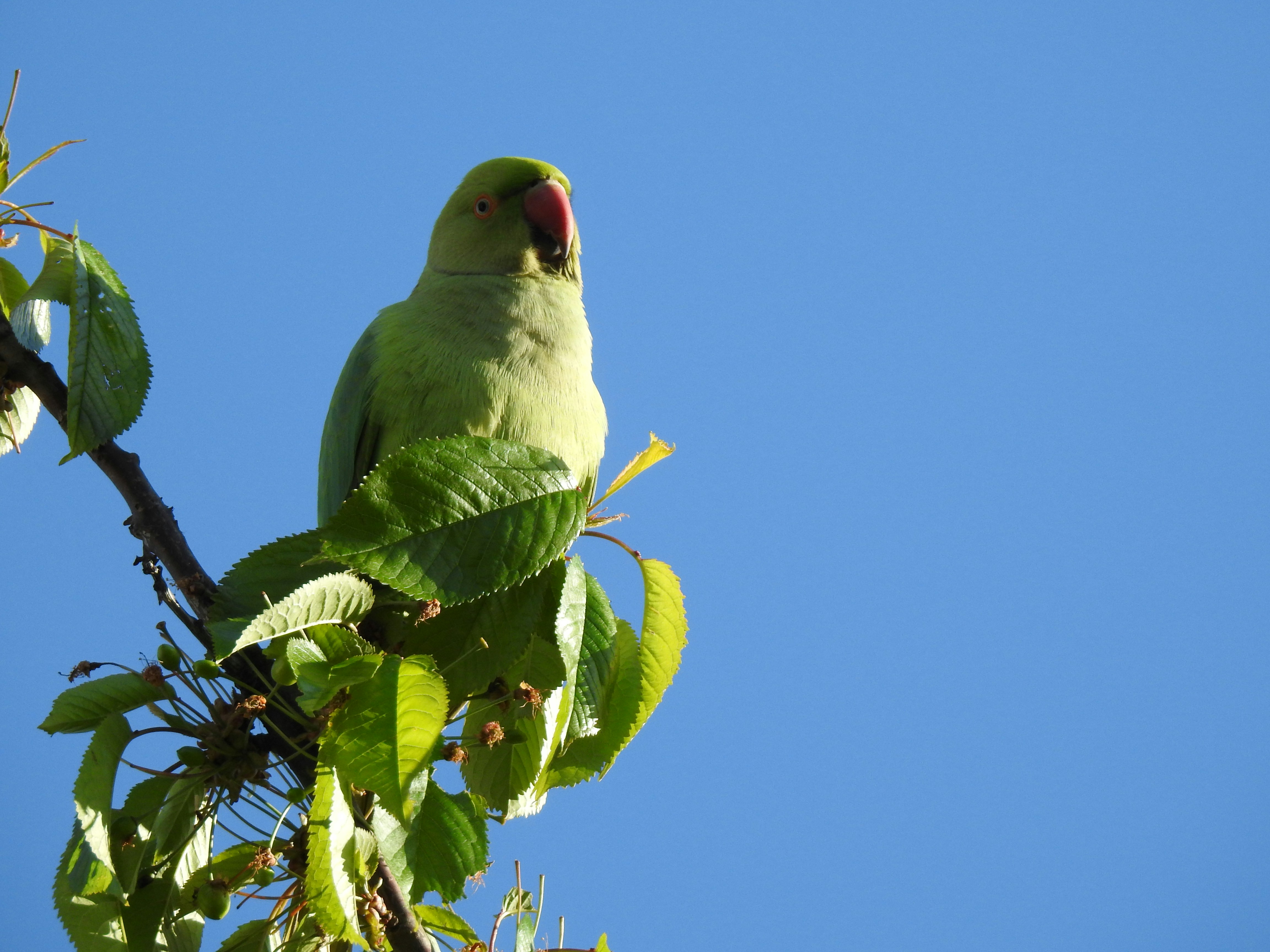 Photo by vijaychadha