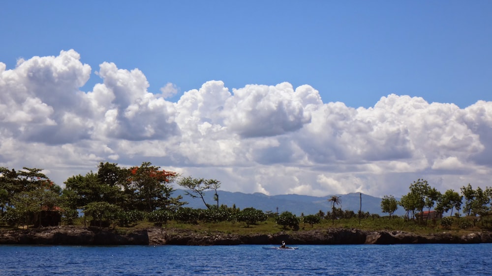 green trees near body of water under white clouds and blue sky during daytime