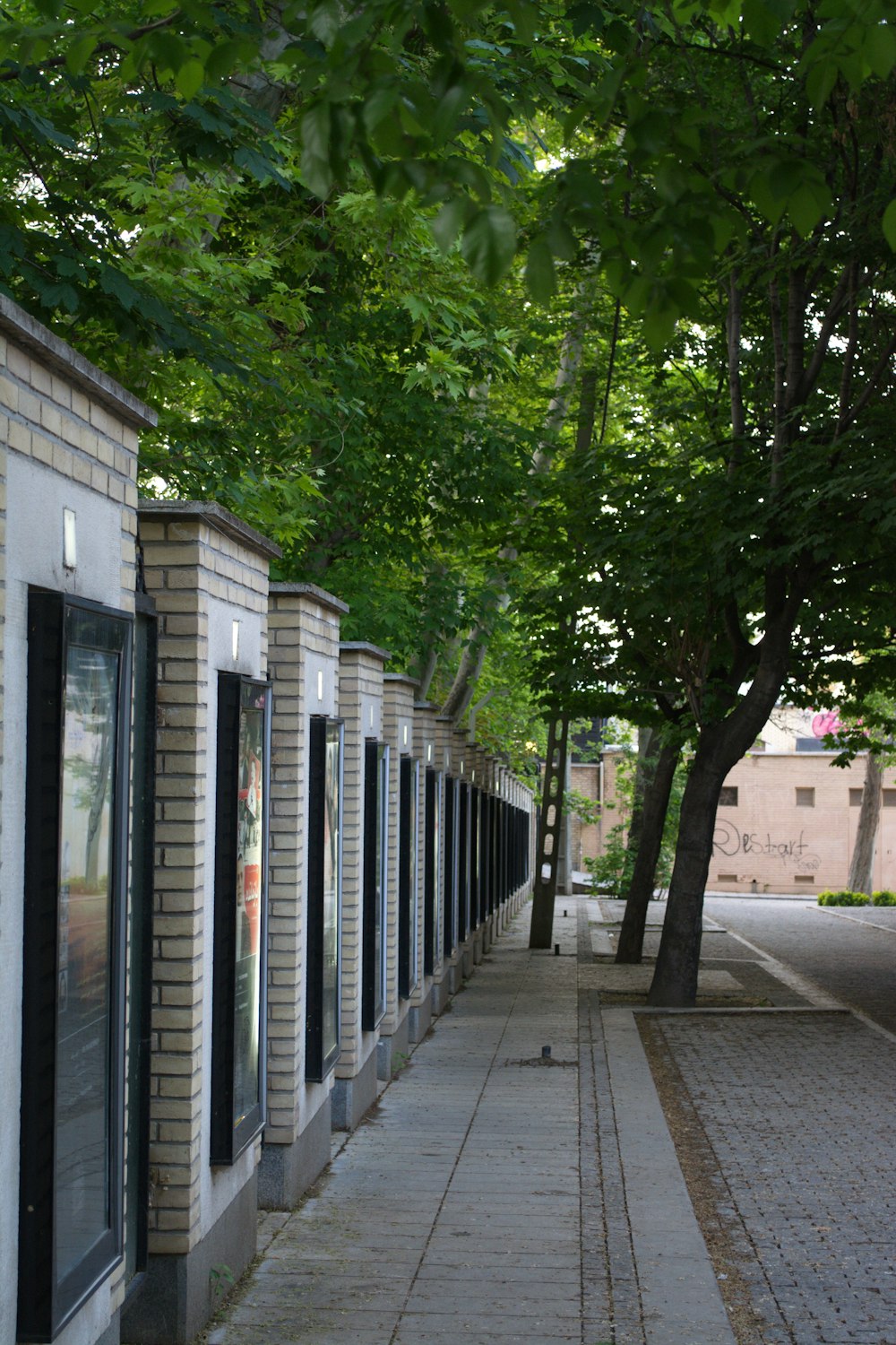 green trees beside white and brown concrete building during daytime