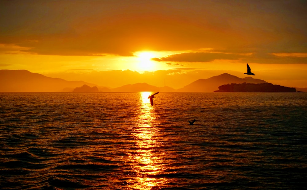 Silhouette der Person auf dem Gewässer während des Sonnenuntergangs