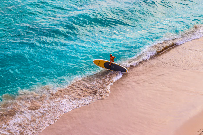 Surfing the Oahu shore