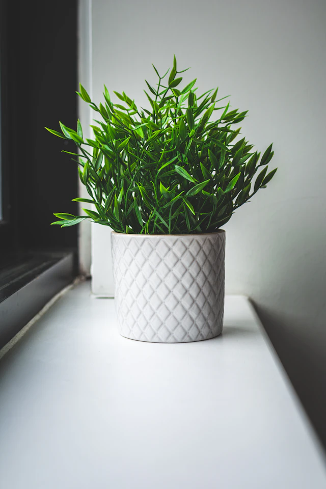Ghiveci ceramic Terra