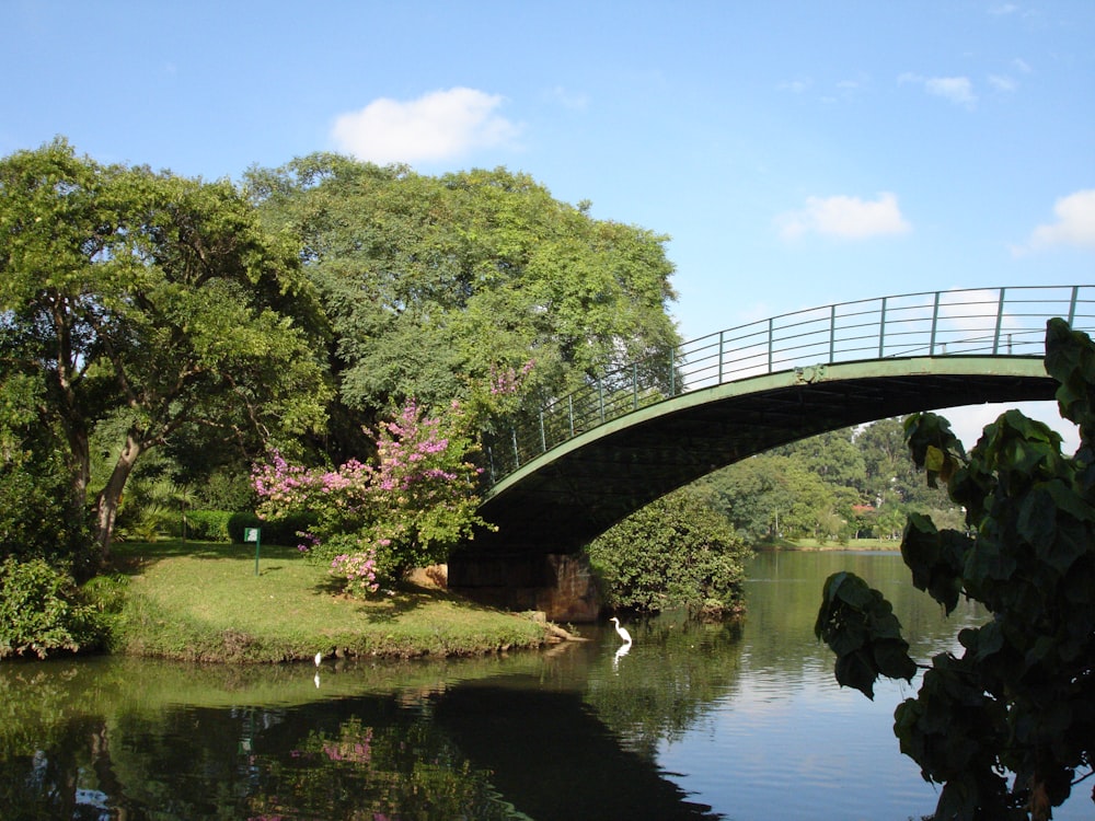 green trees near river under blue sky during daytime