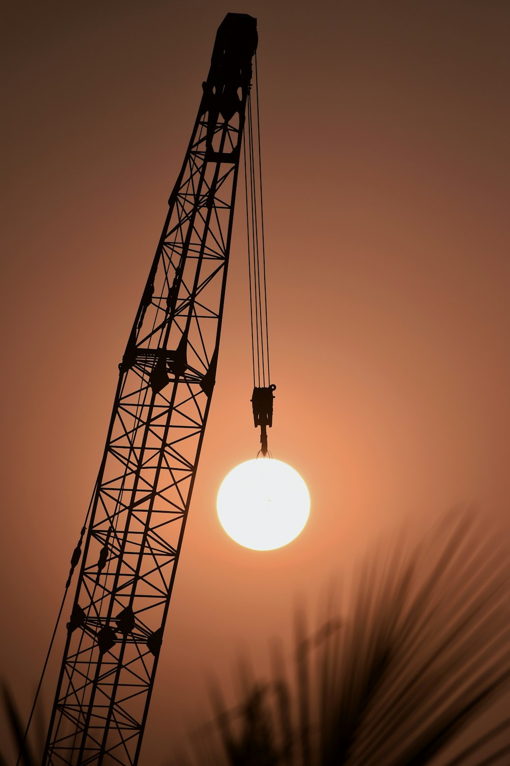 silhouette of crane during sunset