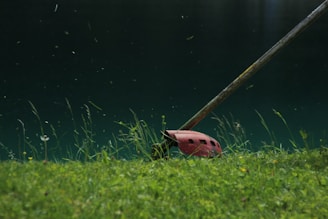 brown and black animal plush toy on green grass