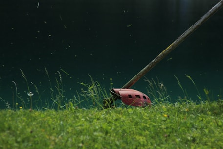 brown and black animal plush toy on green grass
