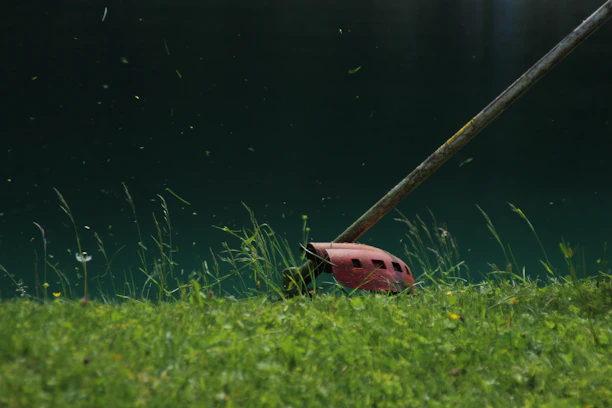 Близък план на електрически тример, който оформя тревата в градината,прецизна работа по ръбовете, 