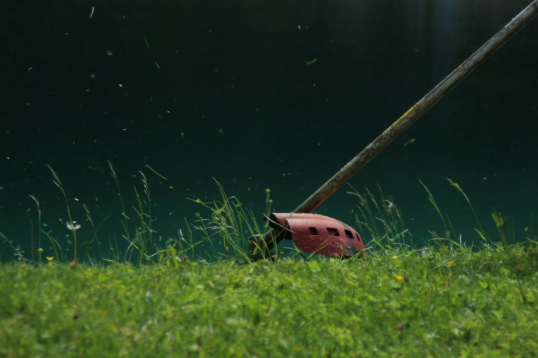 lawn mower cutting grass