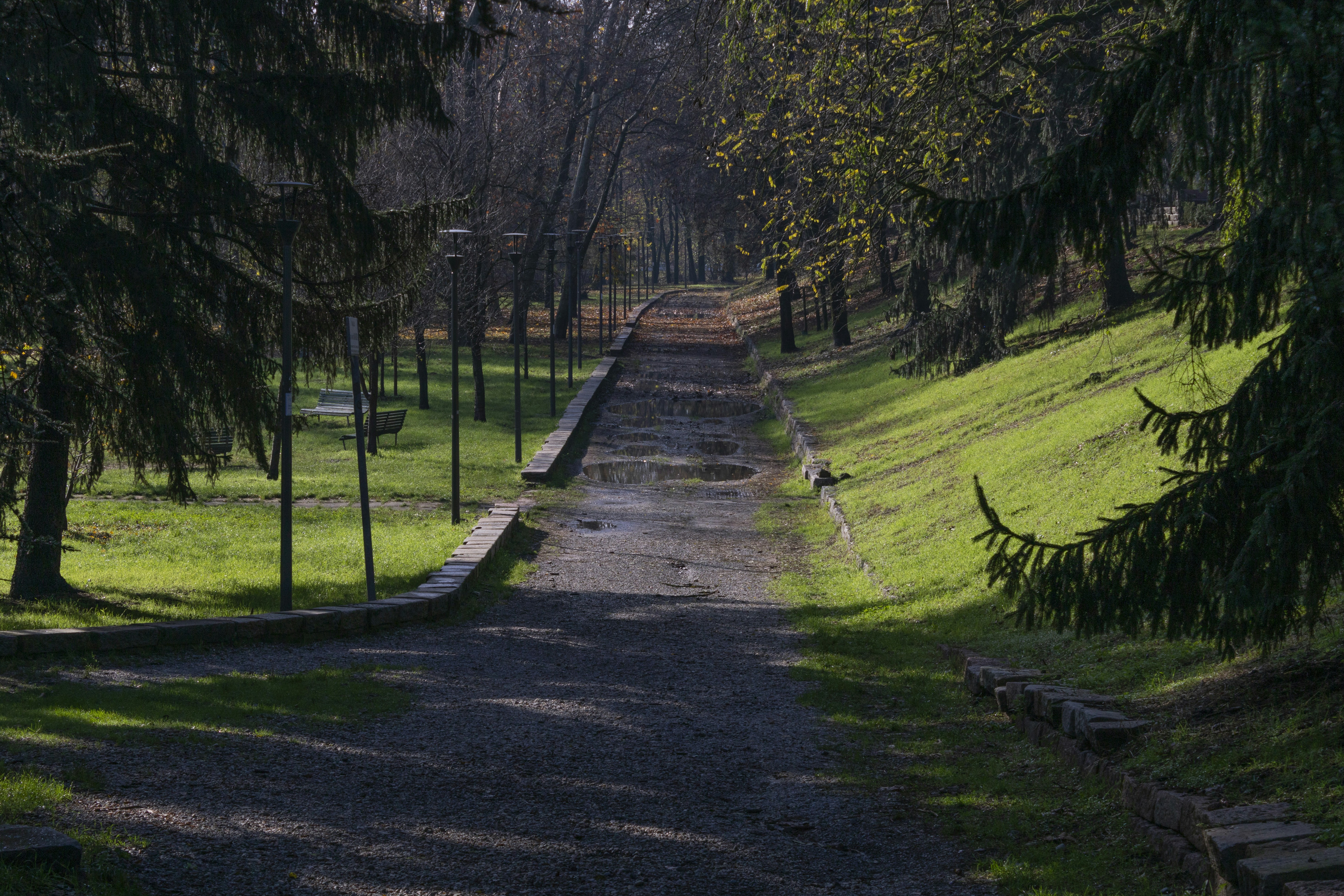 Mal Coombs Park