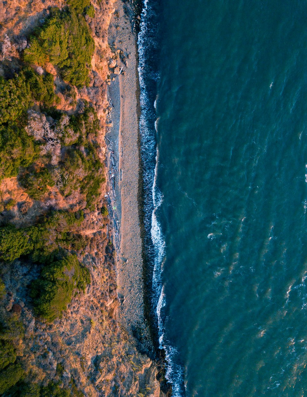 green moss on brown rock formation beside body of water during daytime