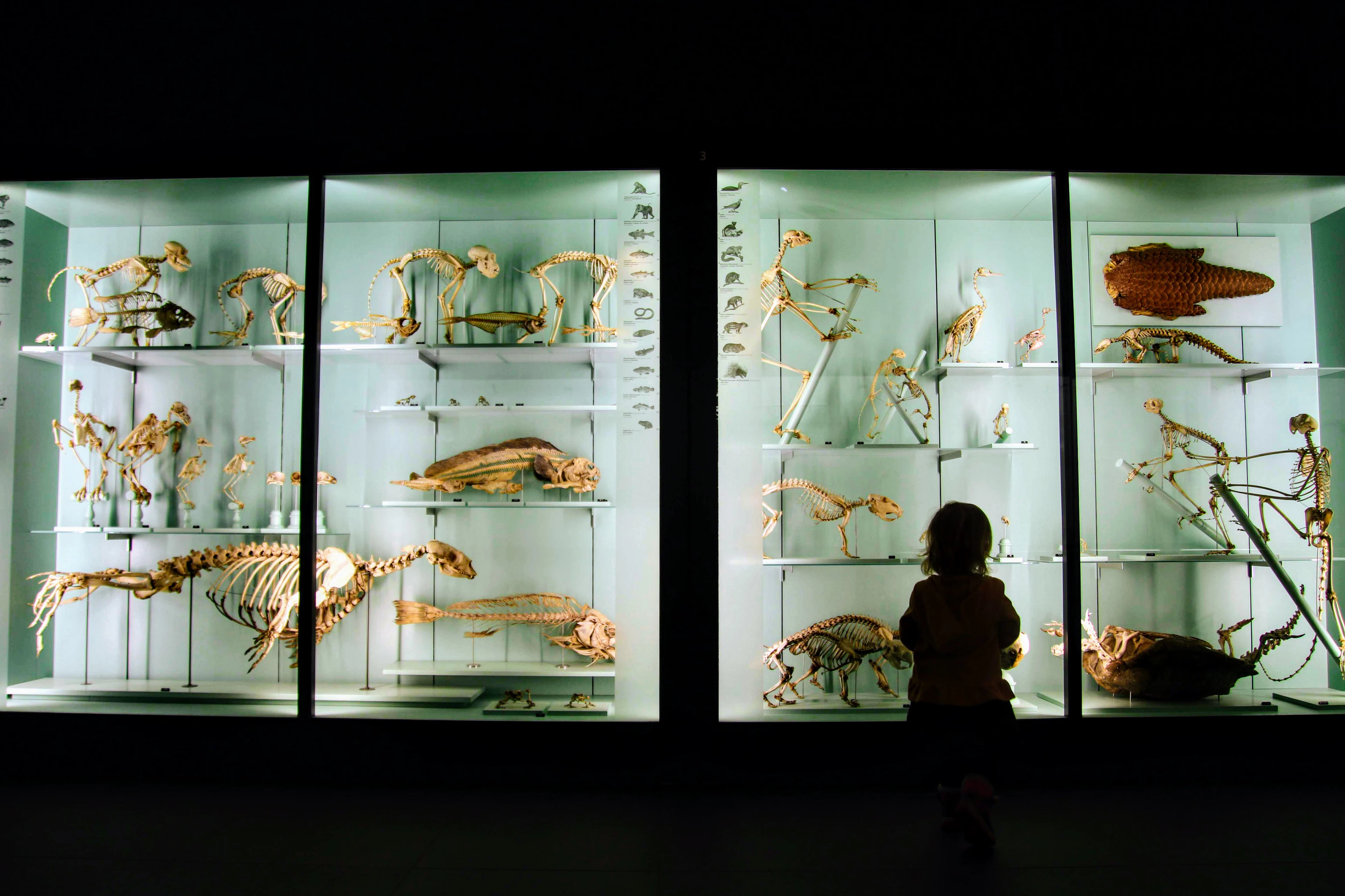 Museum of Communication