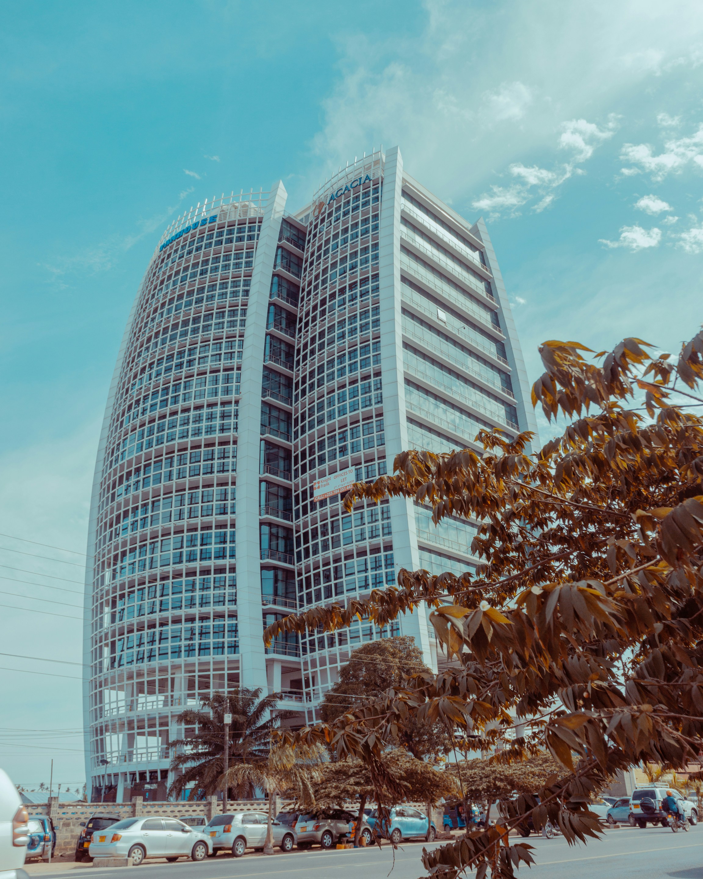 Photo by qimmanifester