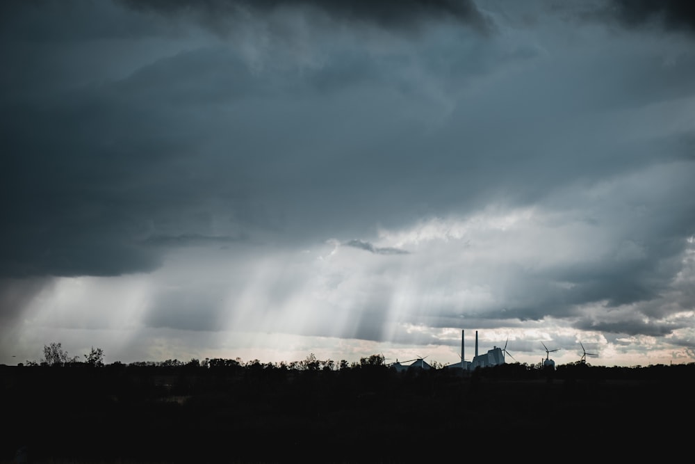 silhouette of trees under cloudy sky during daytime