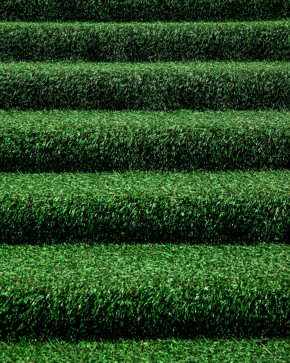 green grass field during daytime