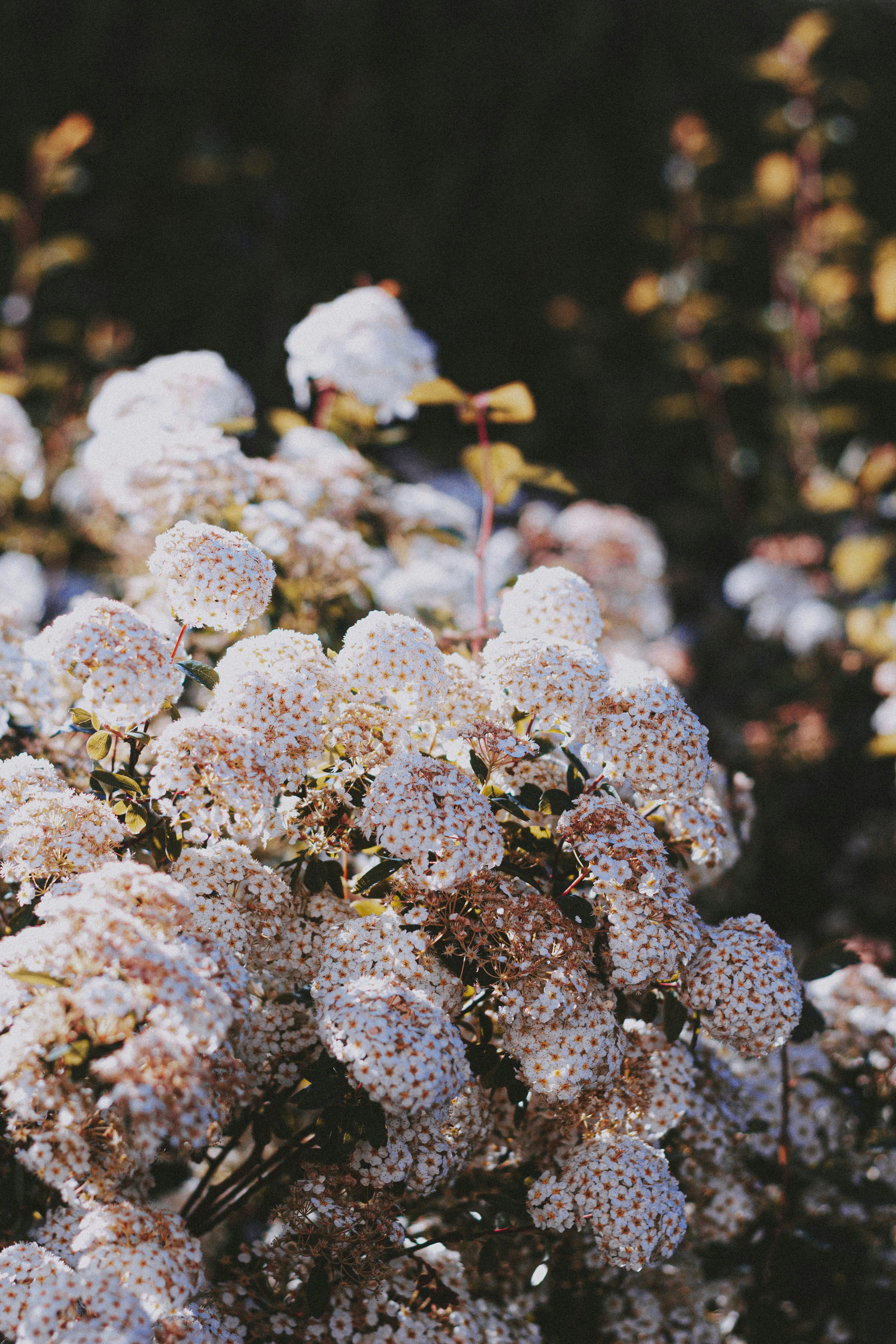 Photo by matreding
