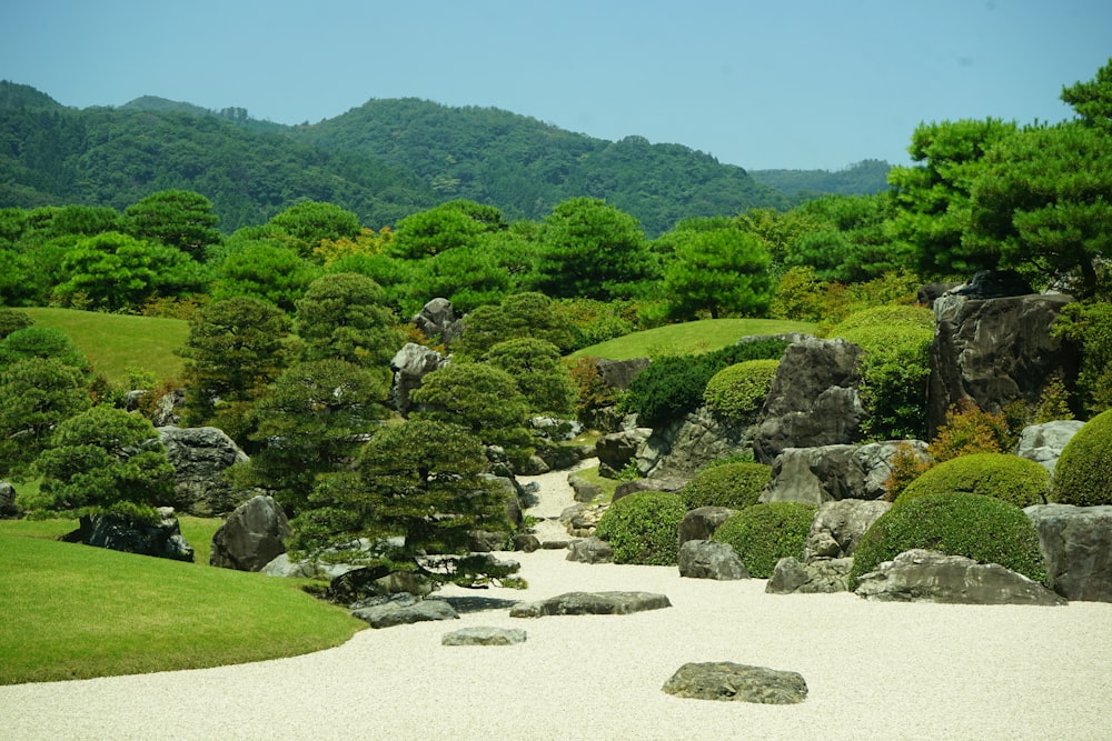 green grass field and trees during daytime