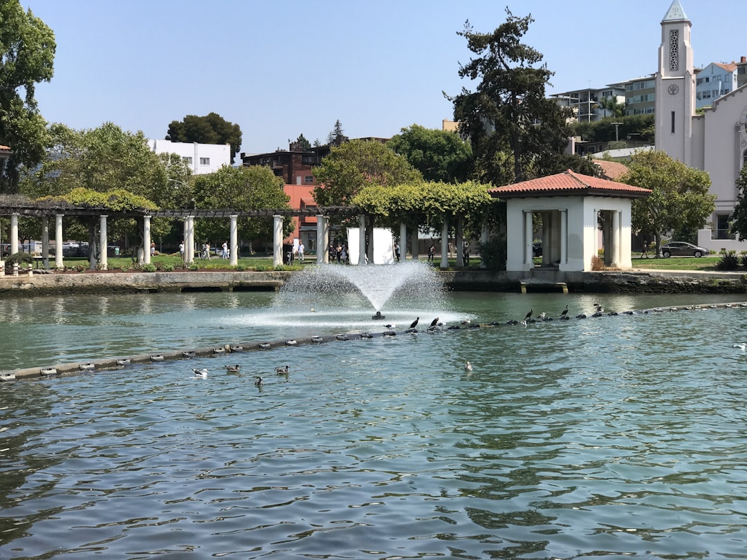 Reservoir photo spot Lakeside Park Sausalito