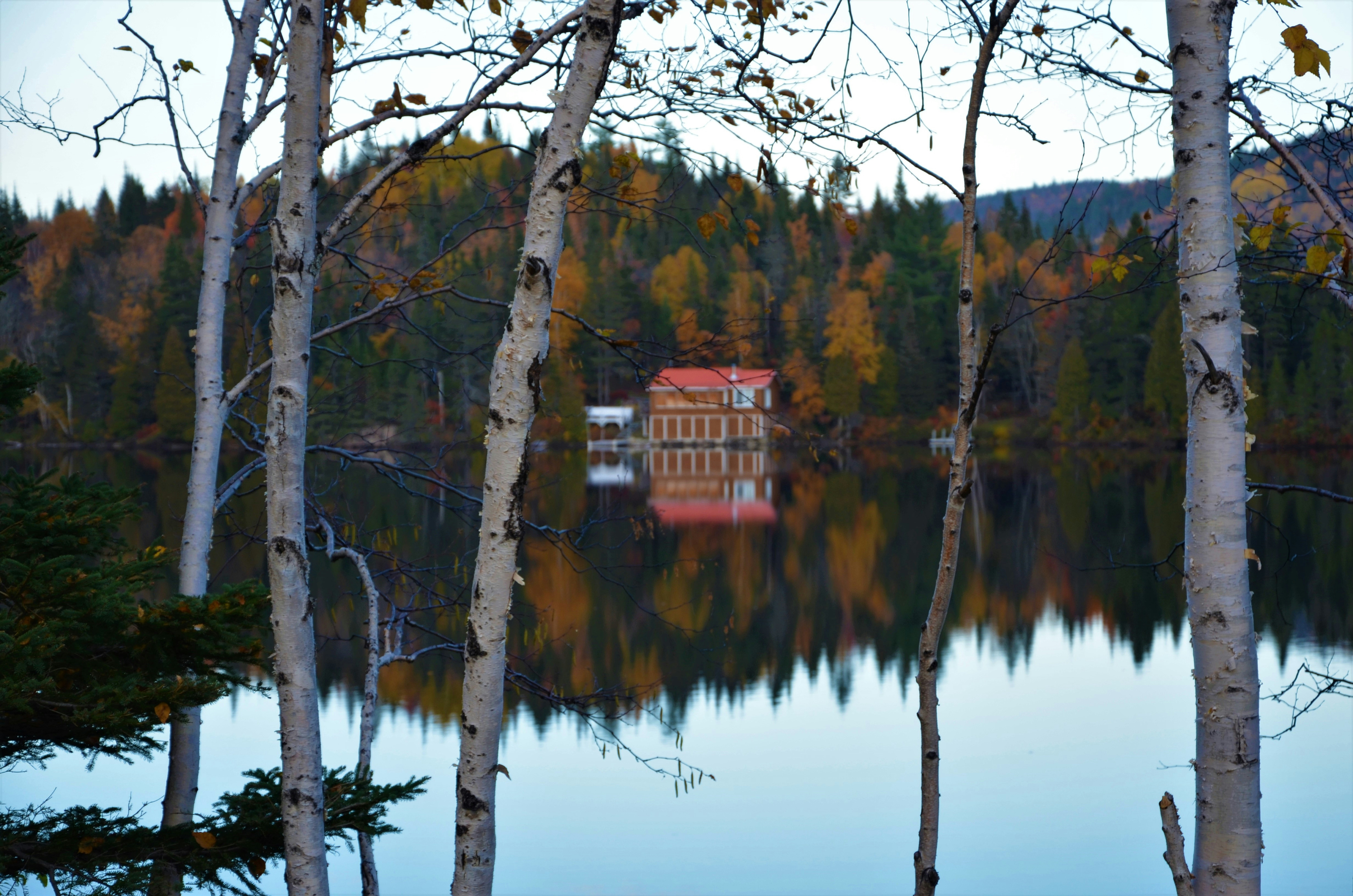 Photo by annnnnnnna8