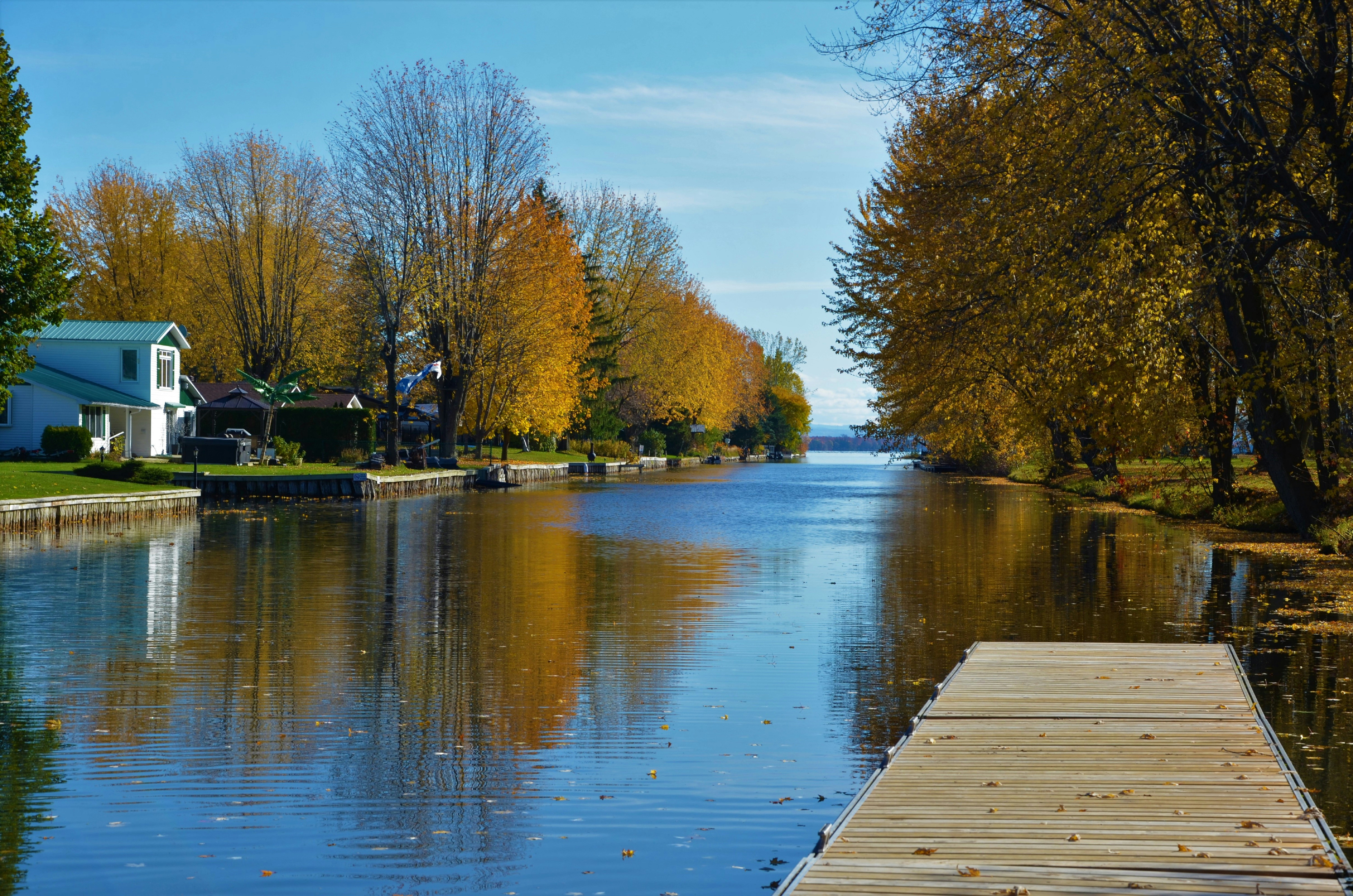 brown wooden dock near brown trees during daytime