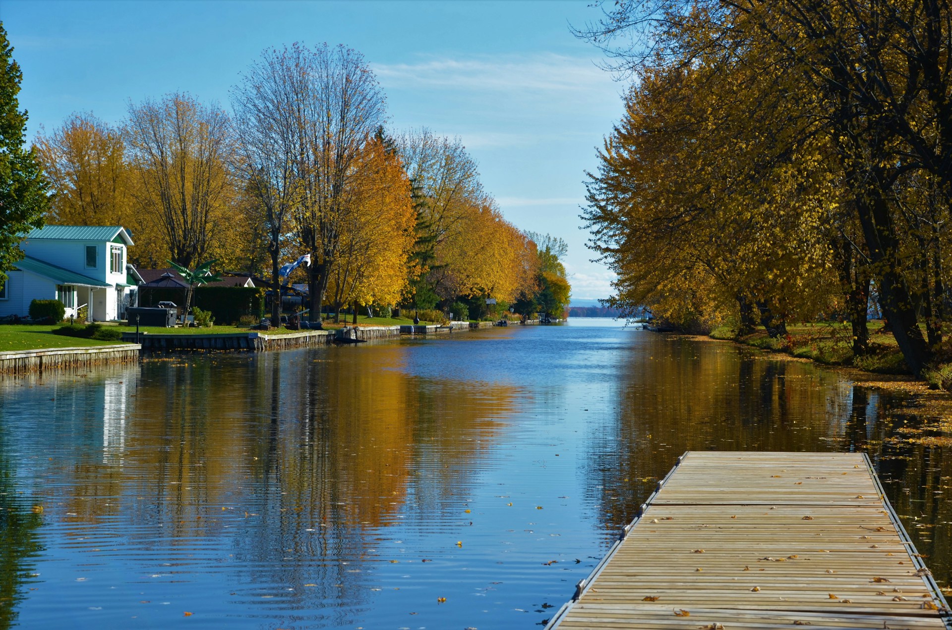 brown wooden dock near brown trees during daytime