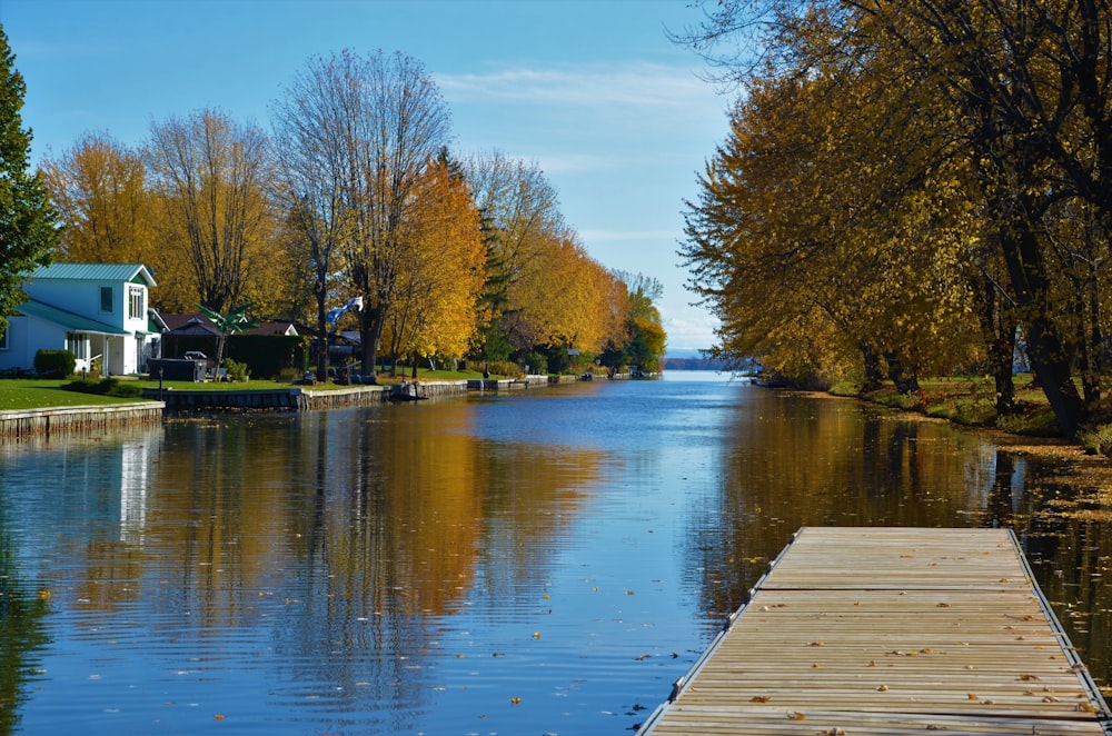 brown wooden dock near brown trees during daytime