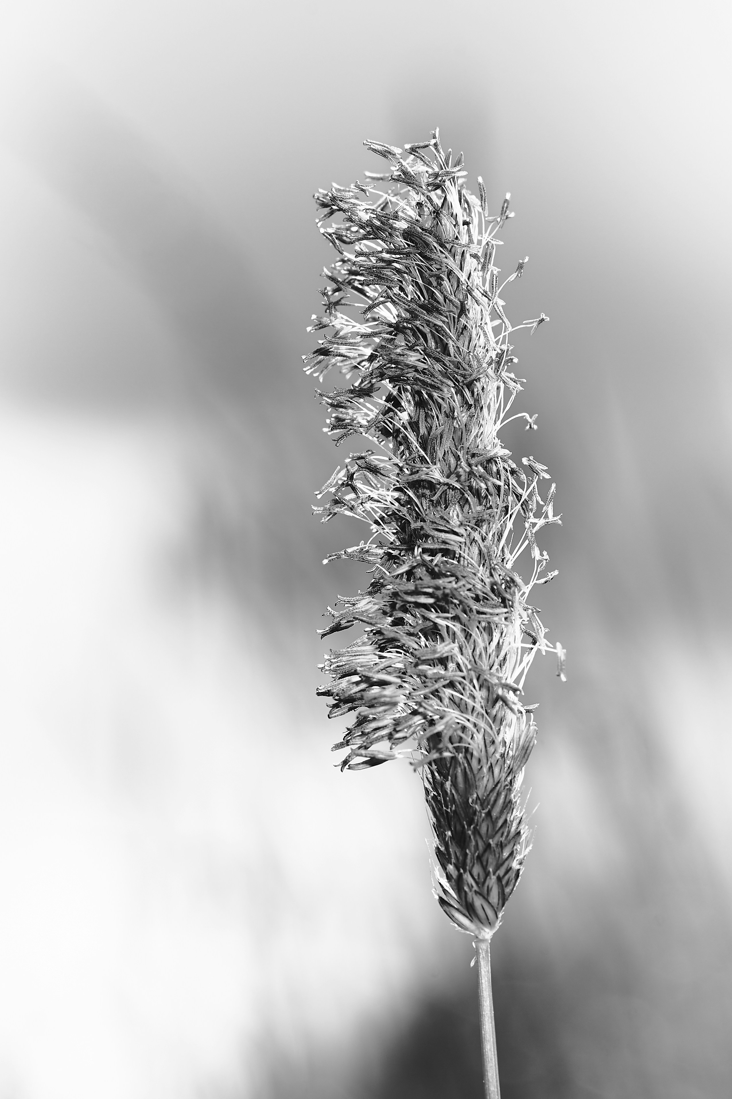 Photo by ingodoerrie