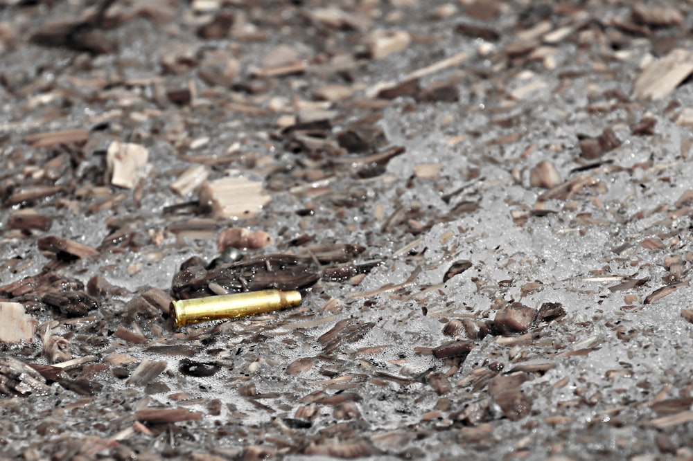 yellow and black cigarette butt on brown soil