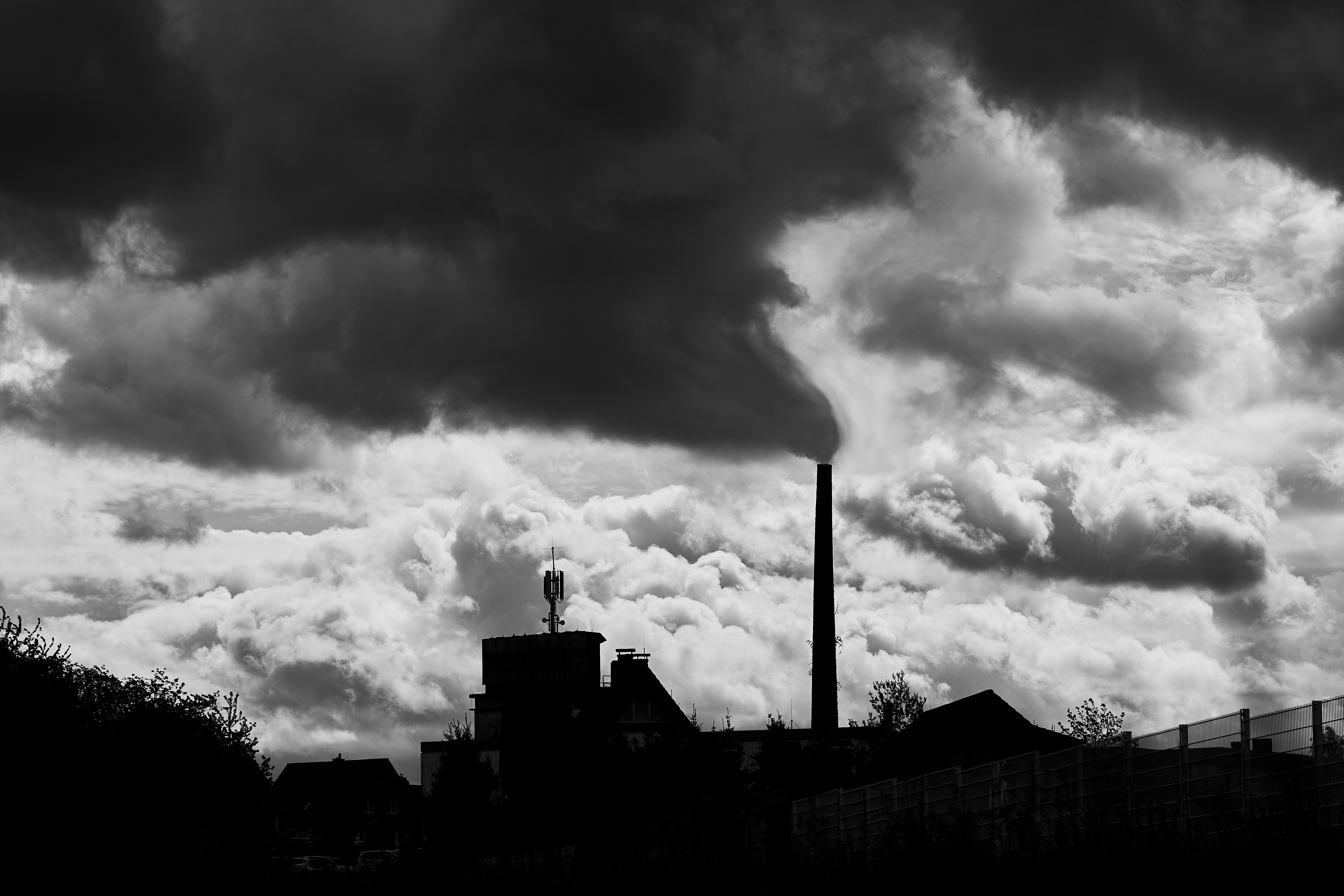 Photo by ingodoerrie