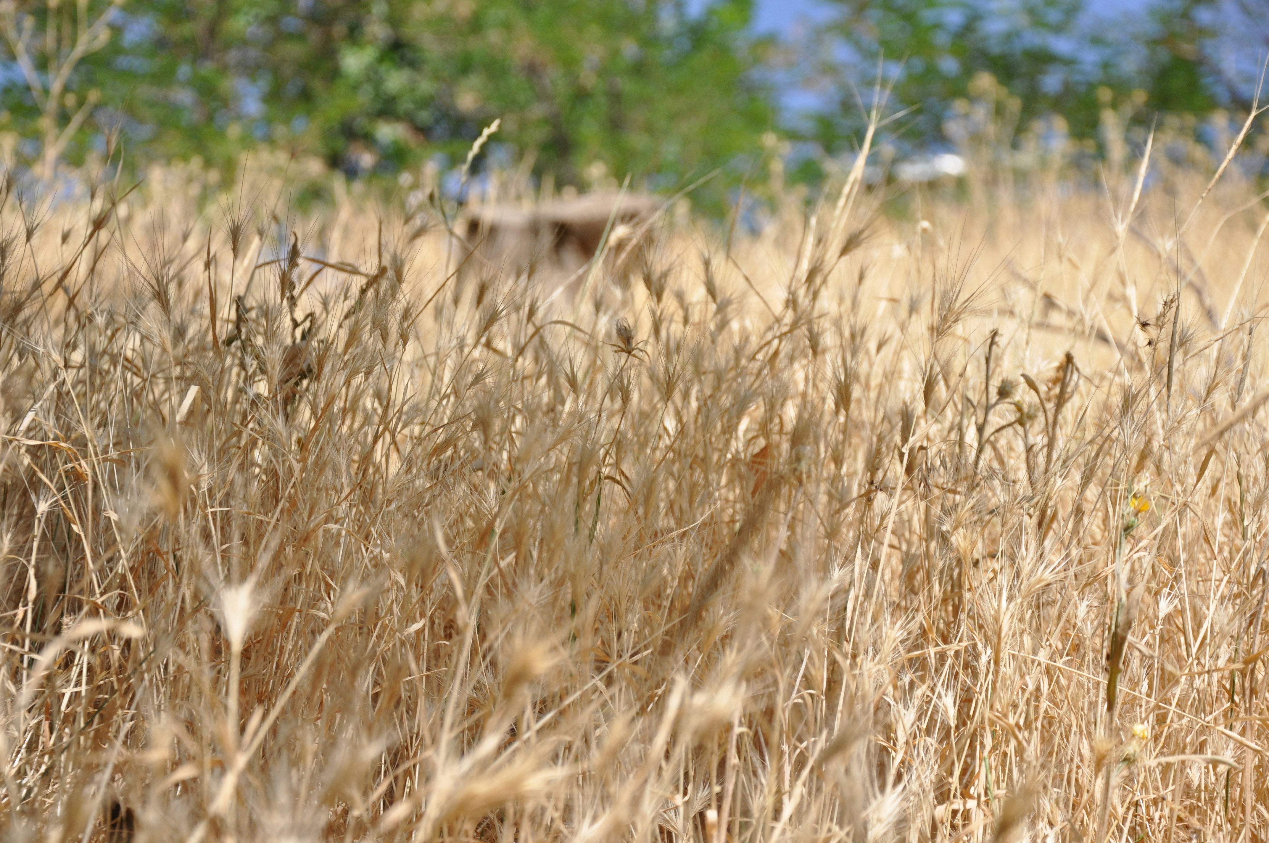 Photo by alimaddahi