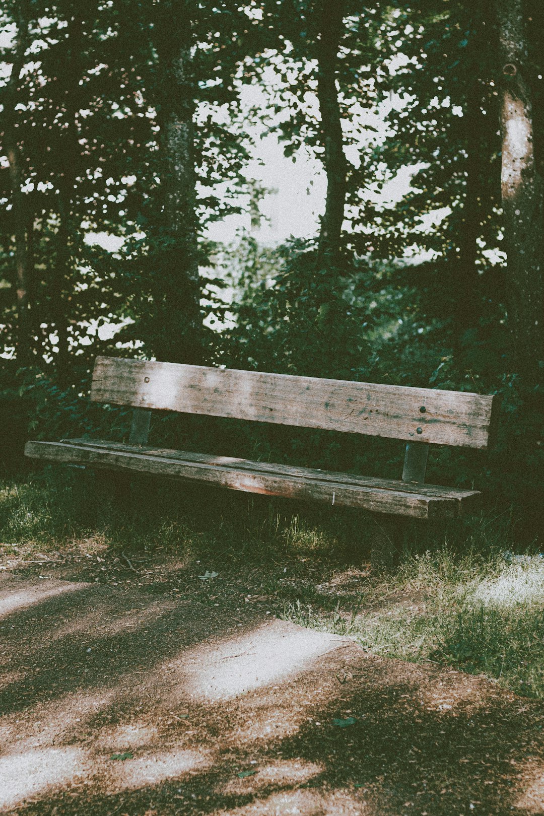 brown wooden bench on brown field surrounded by green trees during daytime