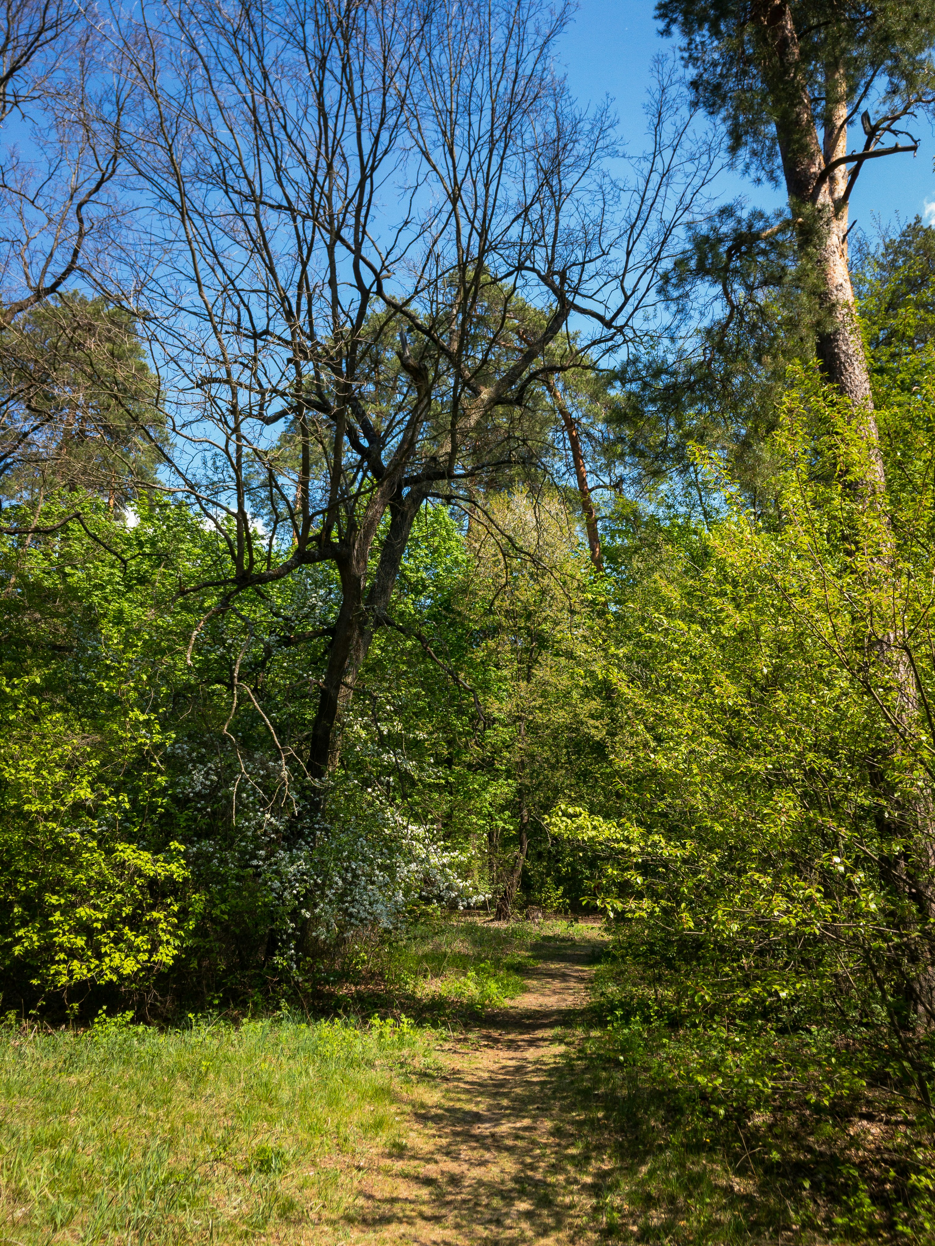 Photo by ingvar_erik