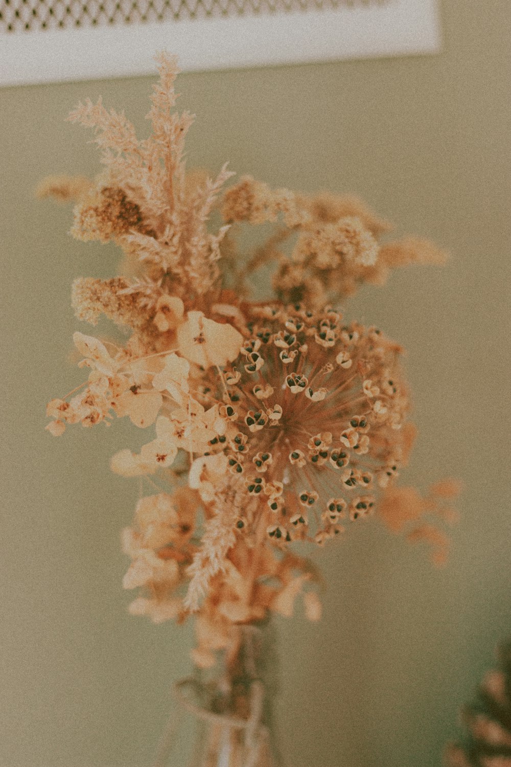 white and brown flower in close up photography