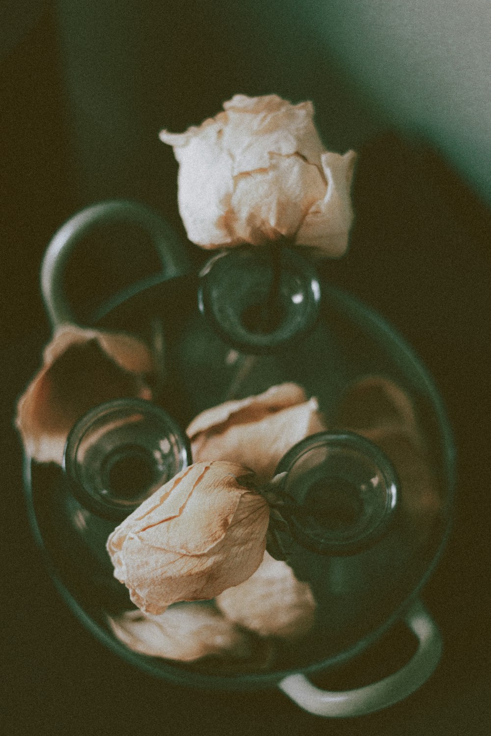 white rose in clear glass vase