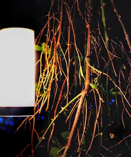 A modern, cylindrical white lamp is positioned next to an arrangement of thin, intertwined branches and green leaves. The dark background contrasts with the bright light emitted by the lamp, highlighting the varying textures of the branches and leaves.