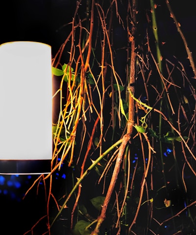 A modern, cylindrical white lamp is positioned next to an arrangement of thin, intertwined branches and green leaves. The dark background contrasts with the bright light emitted by the lamp, highlighting the varying textures of the branches and leaves.