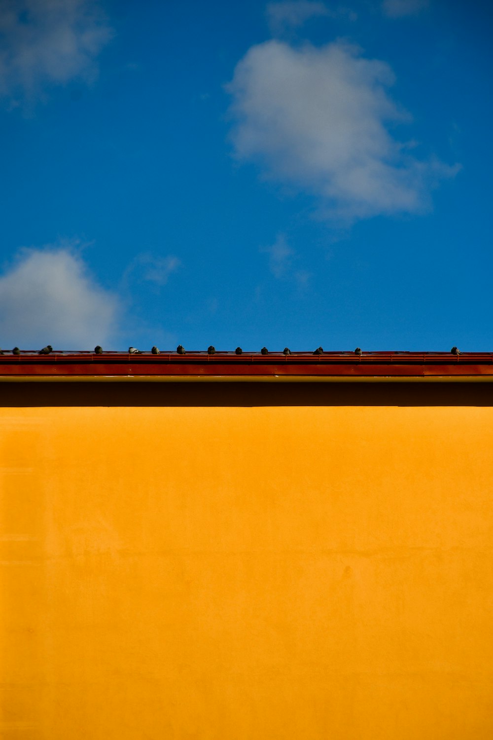 푸른 하늘 아래 갈색 콘크리트 건물