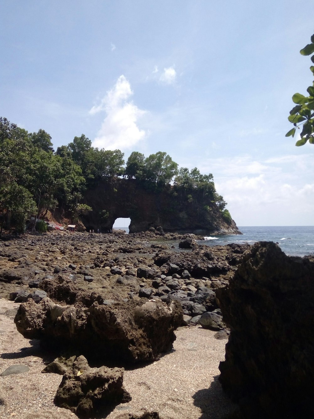 a rocky beach with trees and water in the background