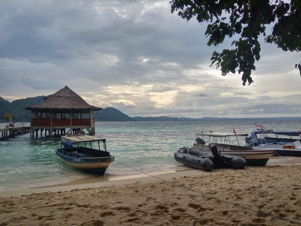 blue and white boat on beach during daytime