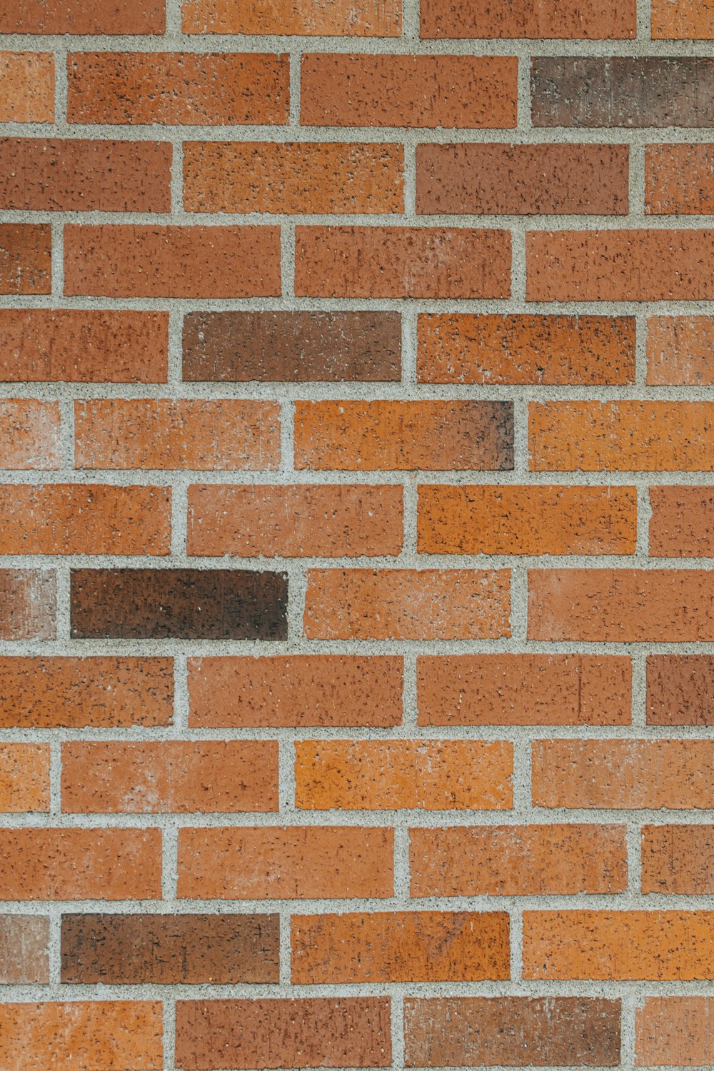 Pared de ladrillo marrón y blanco