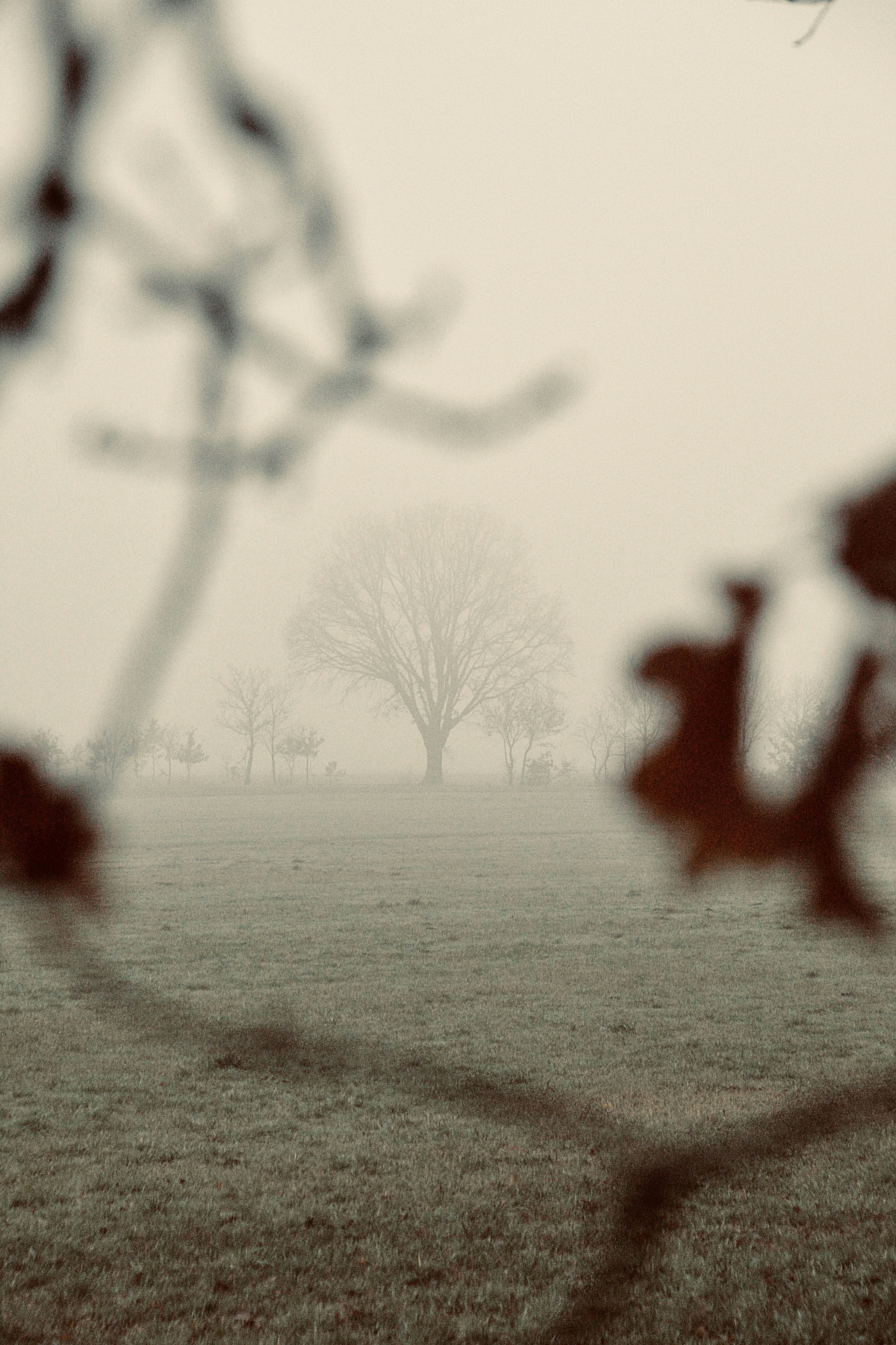 Photo by augustijnfotografie