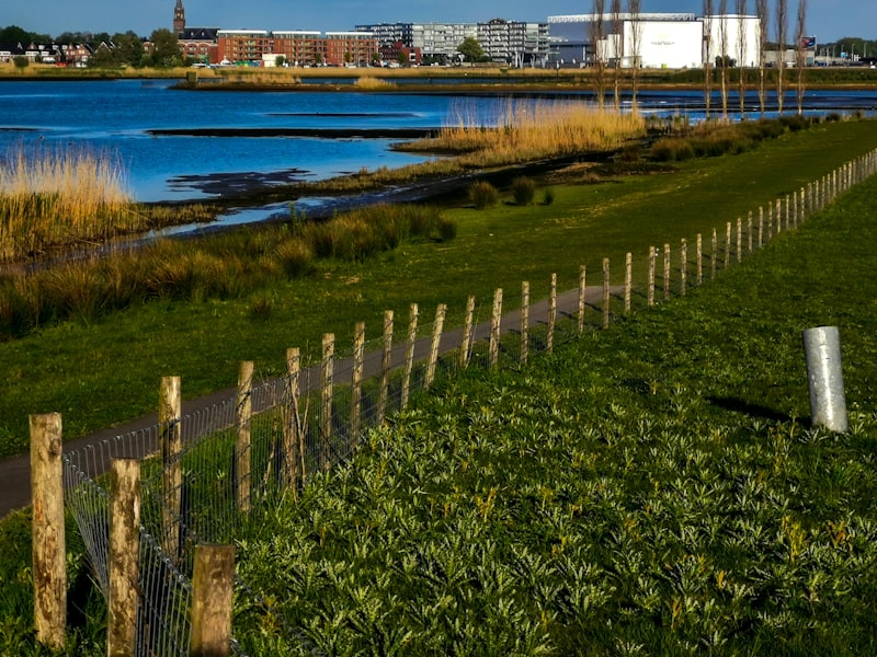 Solar panels and sustainable greenhouses in the Dutch landscape