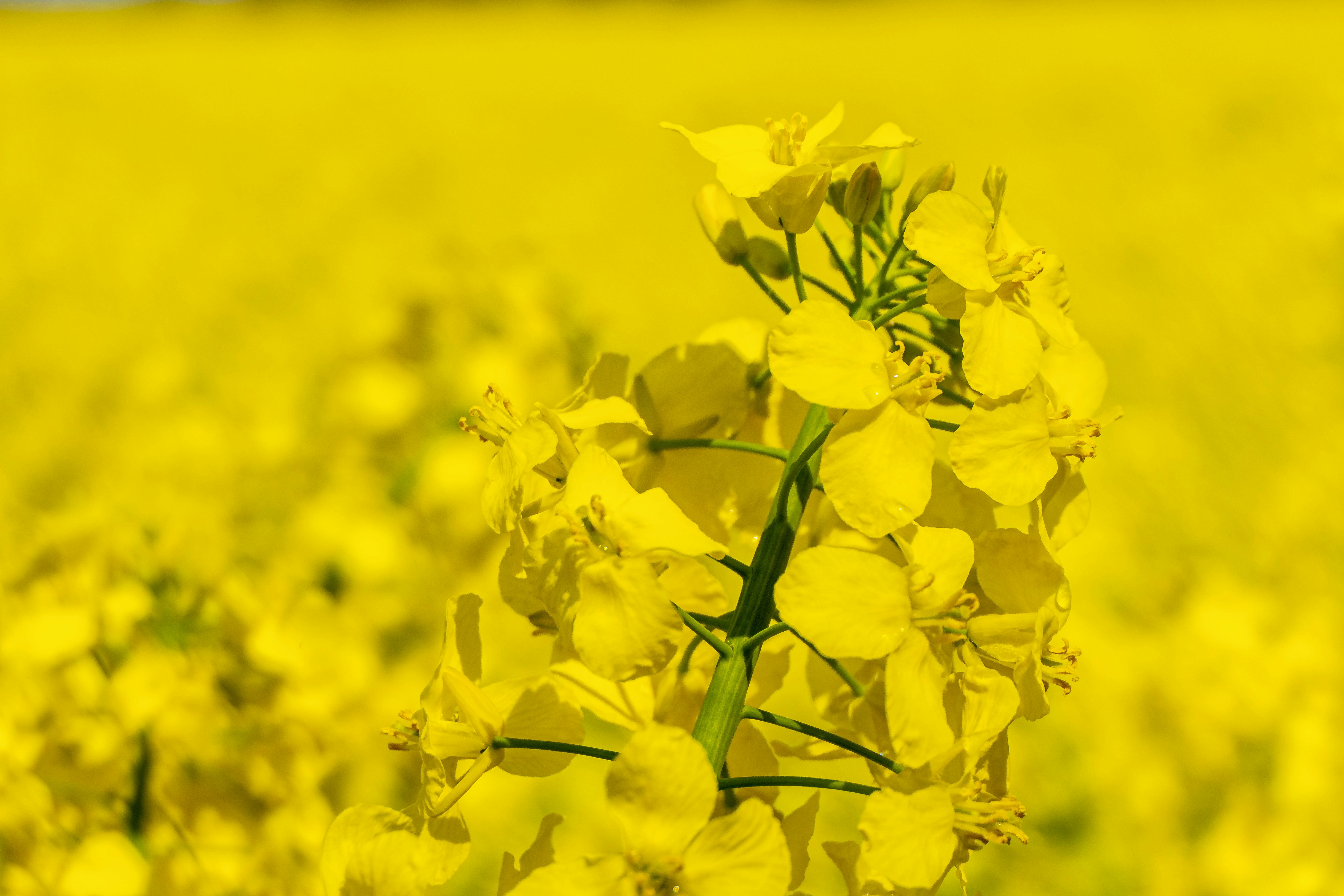 Photo by artur_luczka