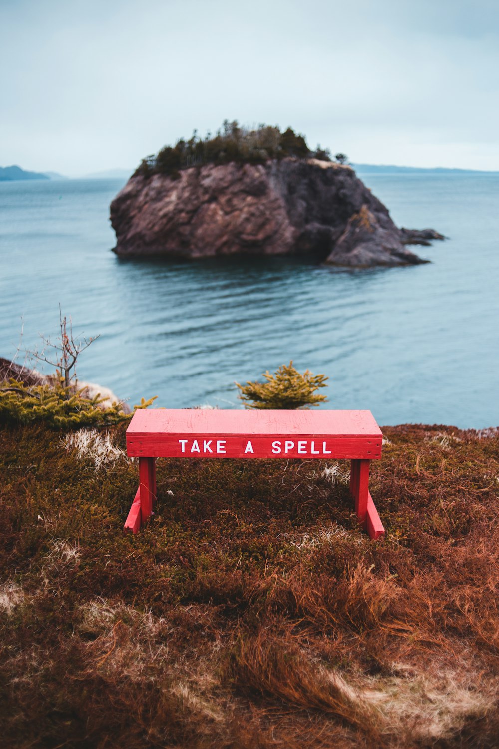 red wooden bench on brown grass near body of water during daytime