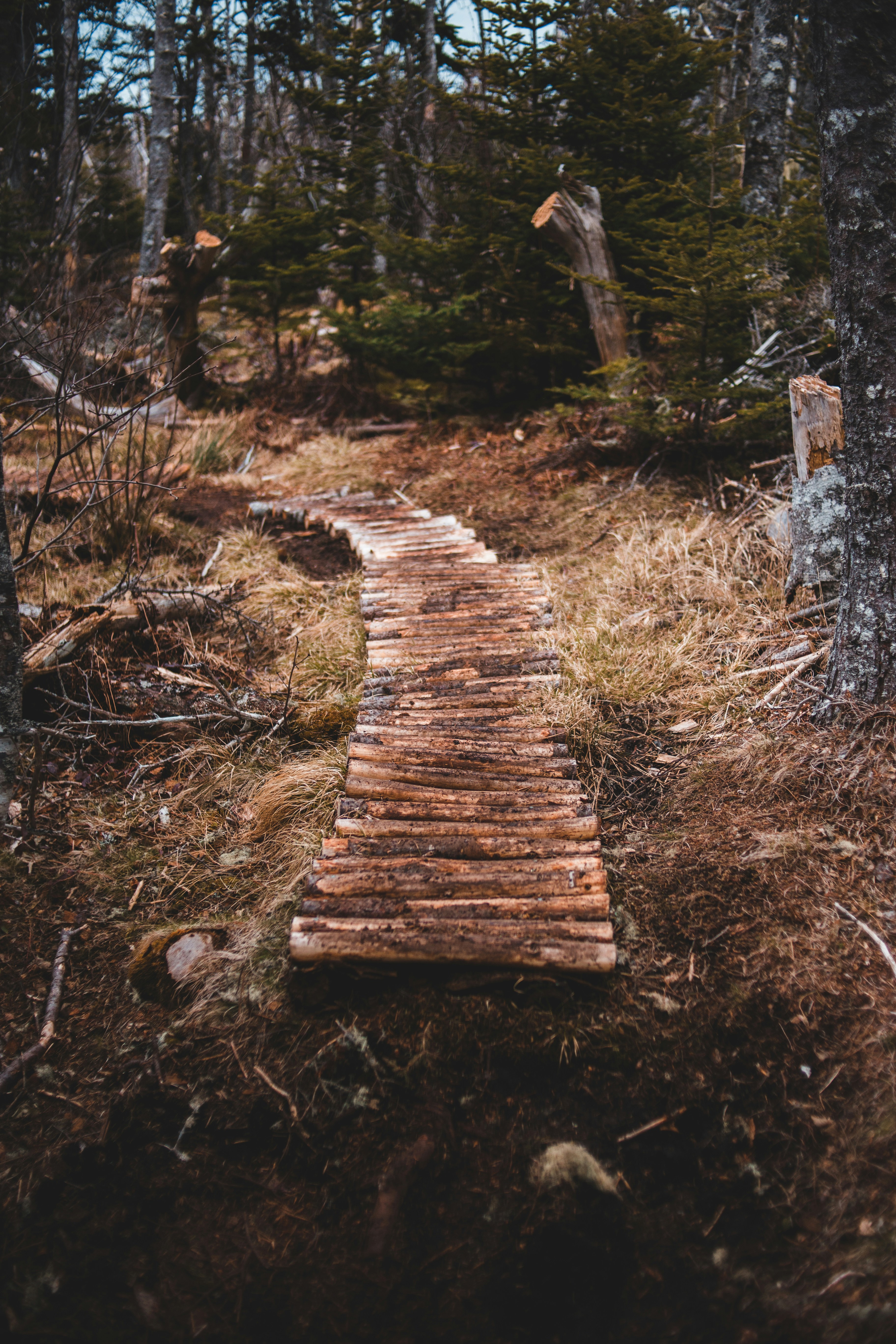 Photo by introspectivedsgn