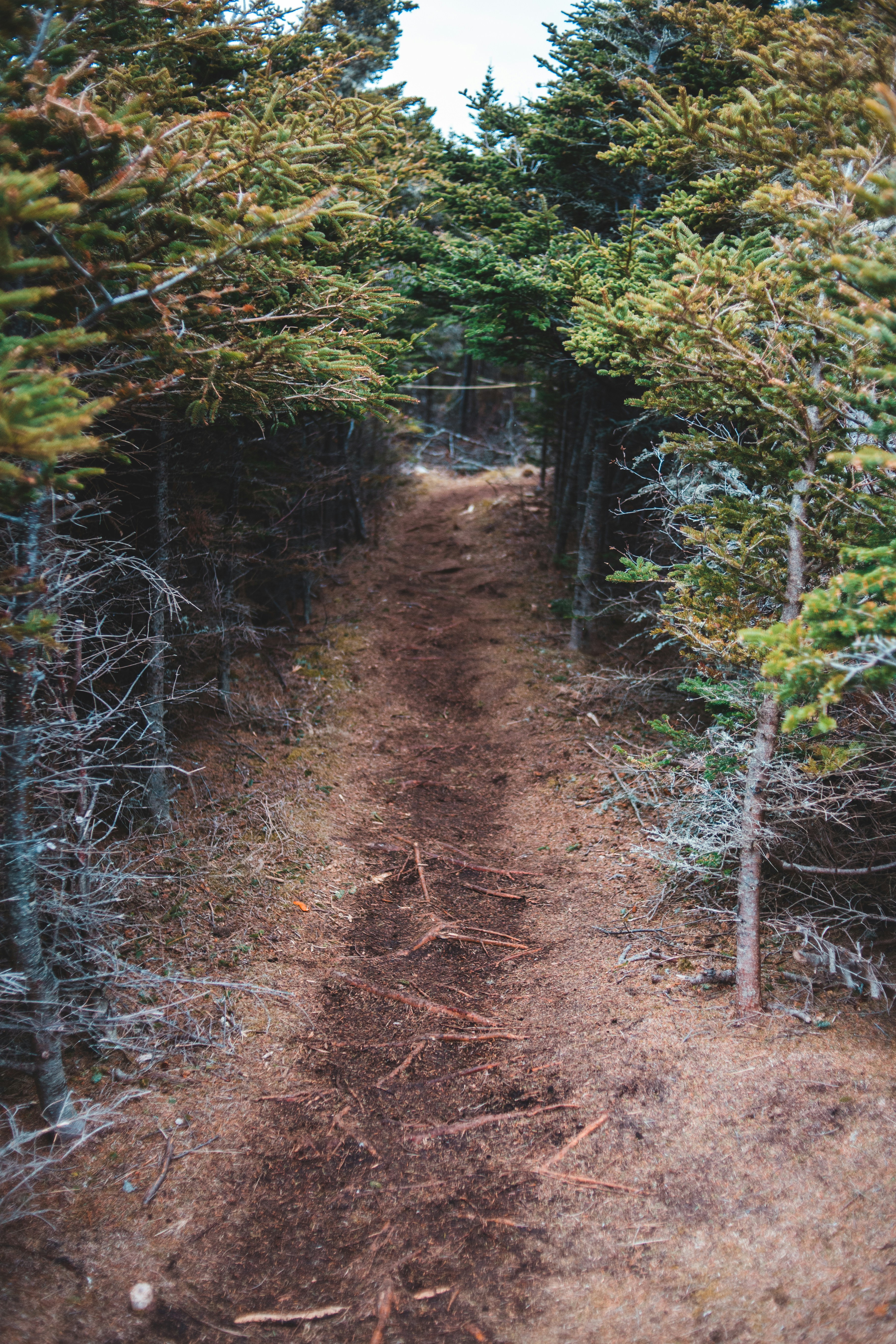 Photo by introspectivedsgn